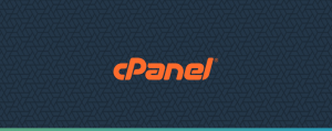 cPanel Plus Hosting